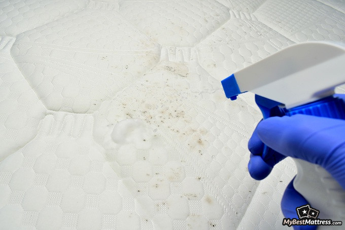 How get urine out of a mattress: spraying mattress with a solution How get urine out of a mattress: spraying mattress with a solution